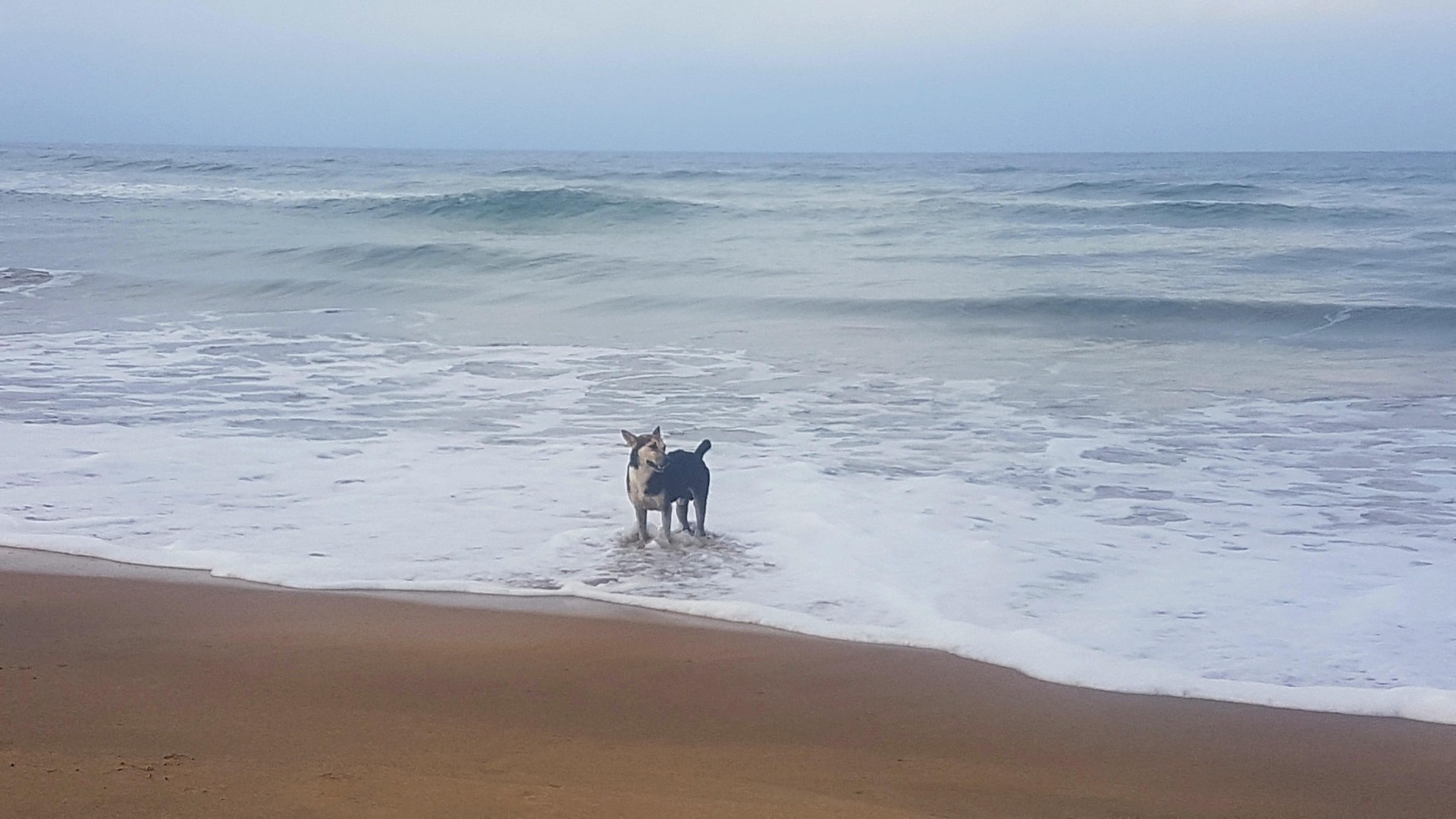 sri lanka, colombo, travel, fromthecornertable, black sunday, easter sunday, travel blog, from the corner table