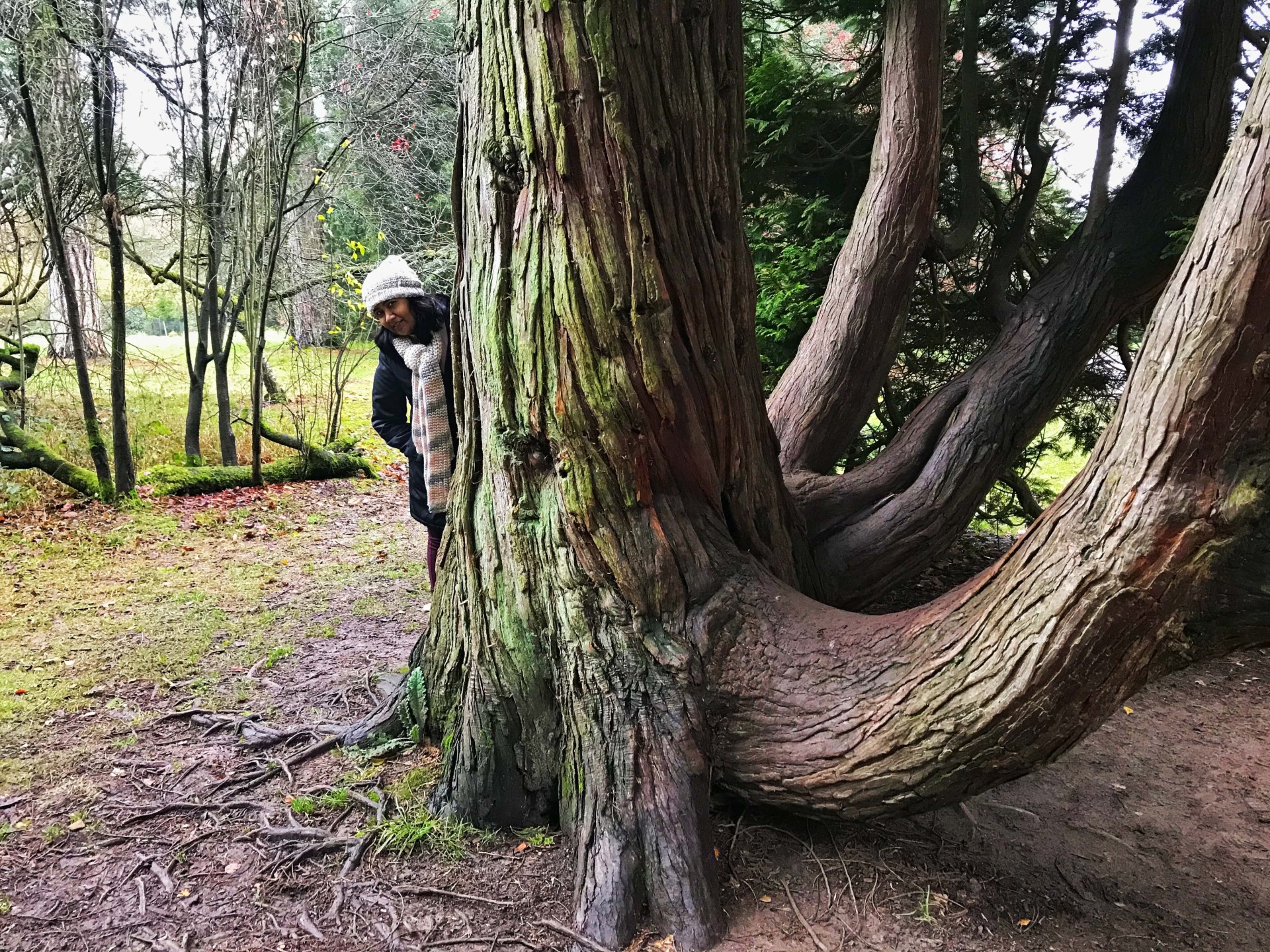 fromthecornertable, traveltuckintalk, blogger