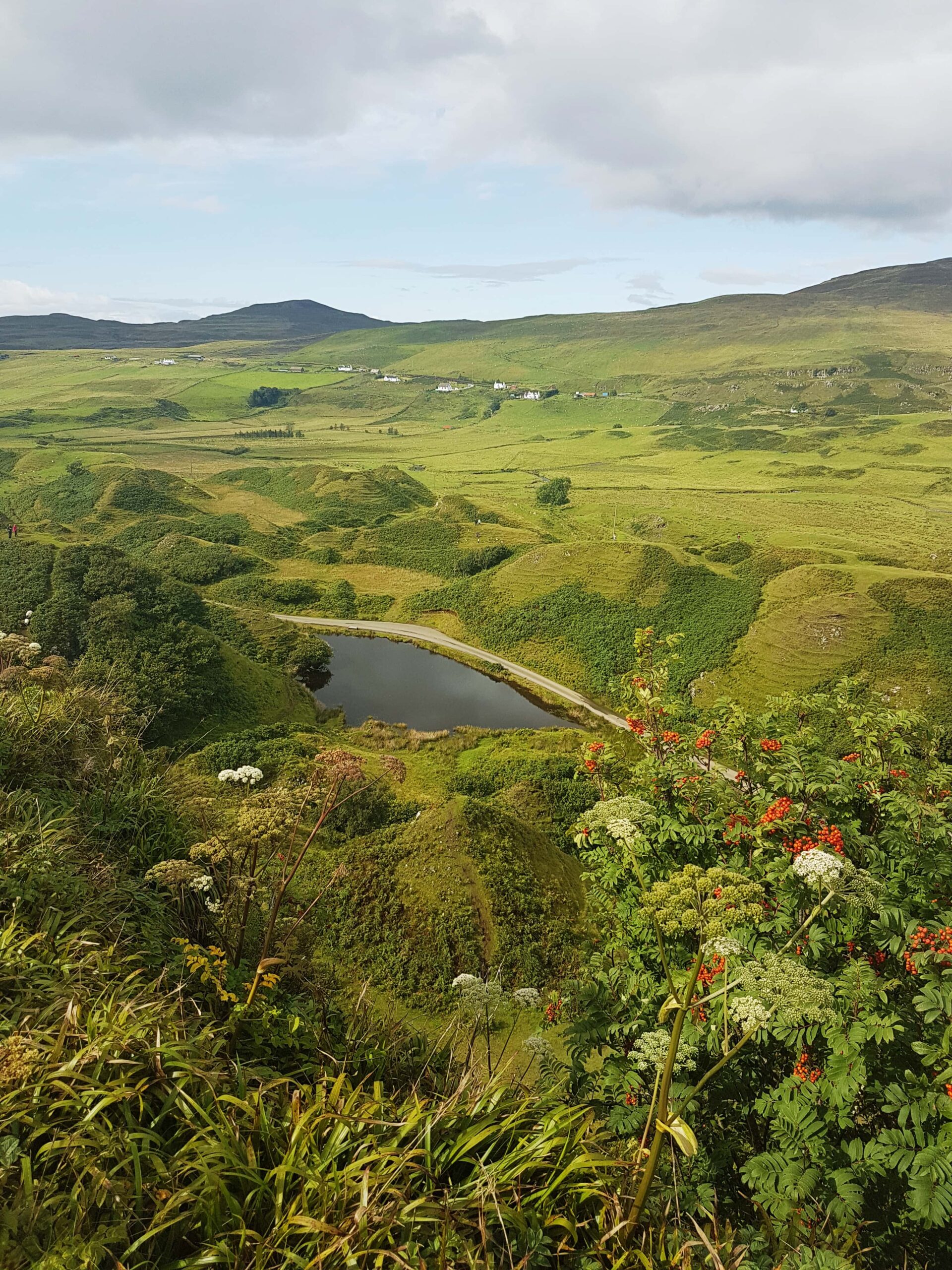 Fairy Glenn, from the corner table, #fromthecornertable