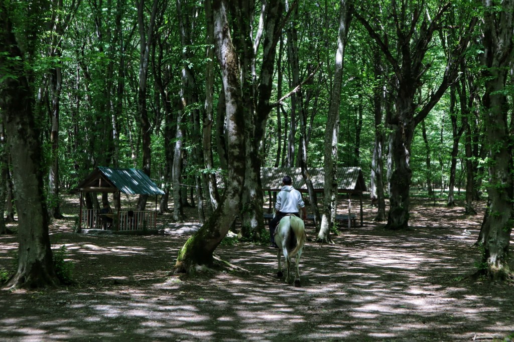 , Azerbaijan | Copyright Image | From The Corner Table

